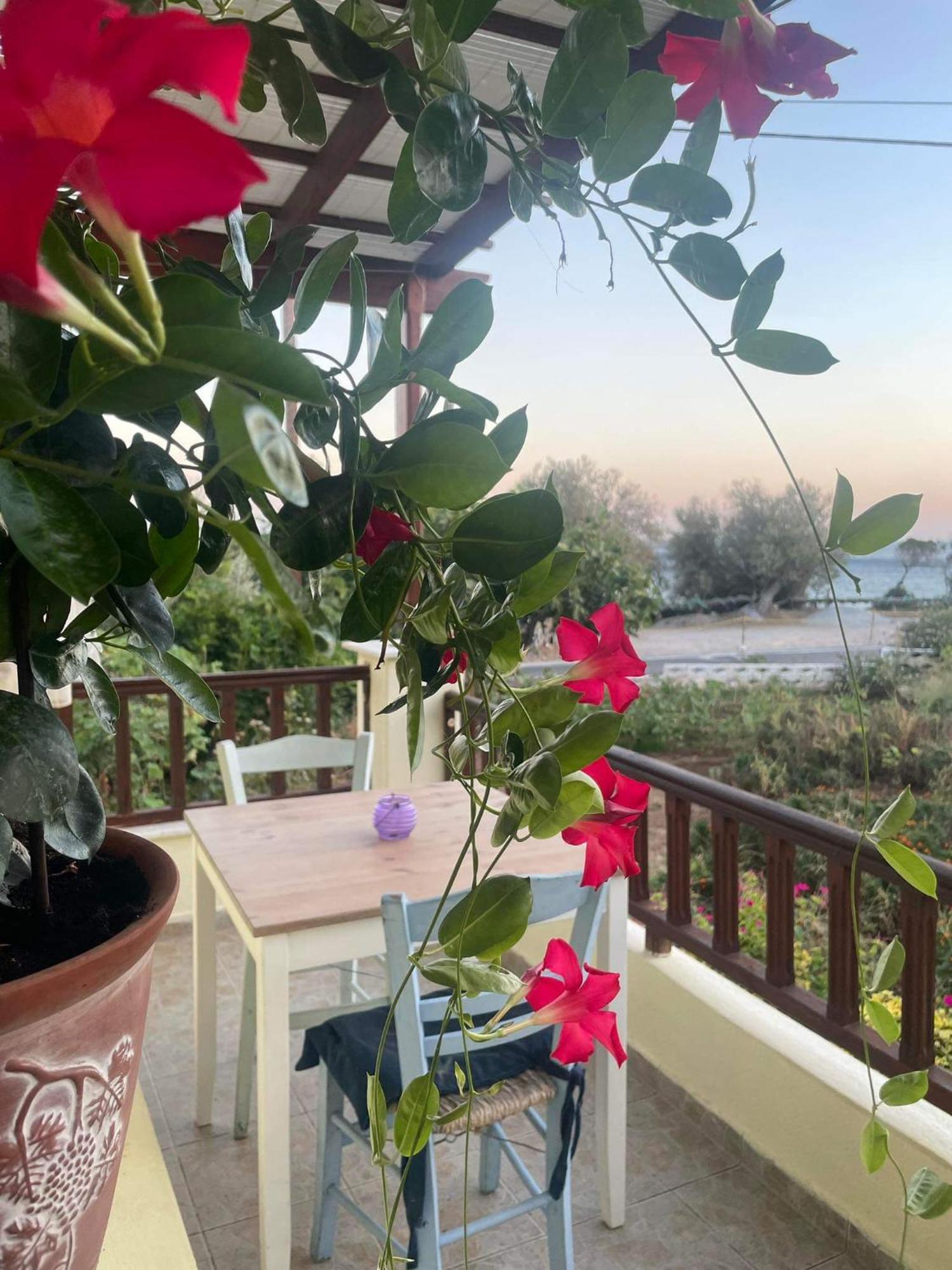 מאראת'וקאמפוס Tiki Rooms מראה חיצוני תמונה
