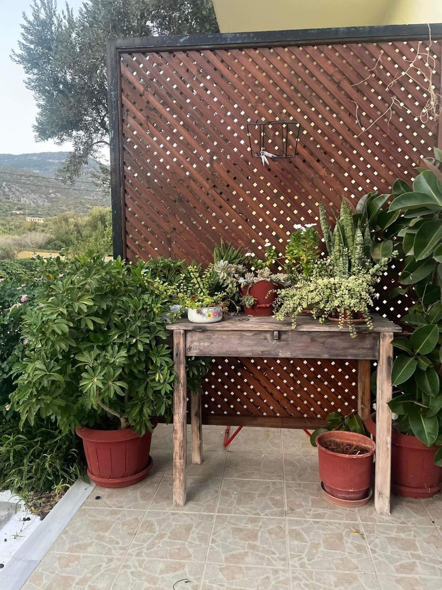 מאראת'וקאמפוס Tiki Rooms מראה חיצוני תמונה