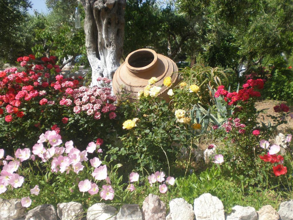 מאראת'וקאמפוס Tiki Rooms מראה חיצוני תמונה